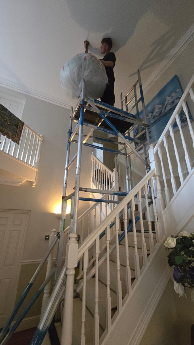 Lighting and electrical upgrades by Oaks Electrical